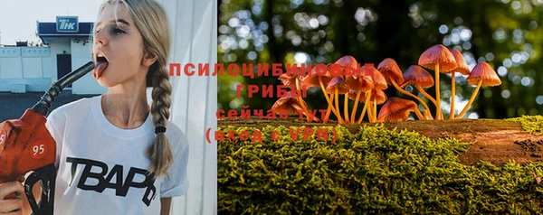 соль курить ск Алексеевка