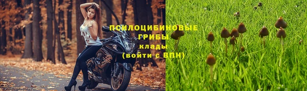 соль курить ск Алзамай